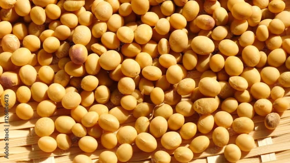 Moving shot of fresh soybeans
Moving shot of fresh soybeans