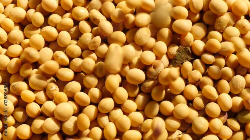 Falling mass of soybeans
Falling mass of soybeans