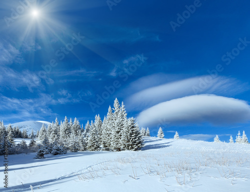 Morning winter mountain sunshiny landscape