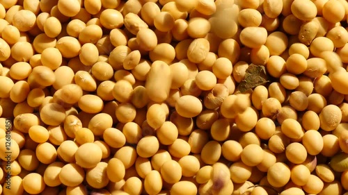 Falling mass of soybeans
