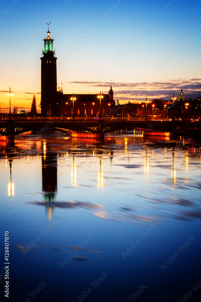 city hall over sea waters with ice, Stockholm, Sweden, toned