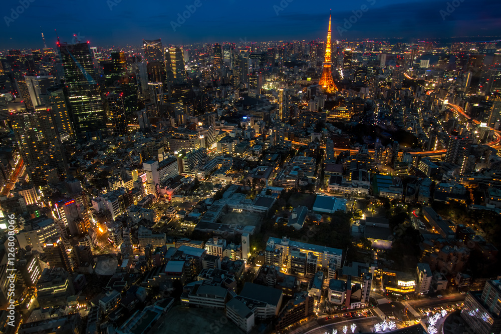 Naklejka premium Night view of Tokyo in Japan cityscape Tokyo tower