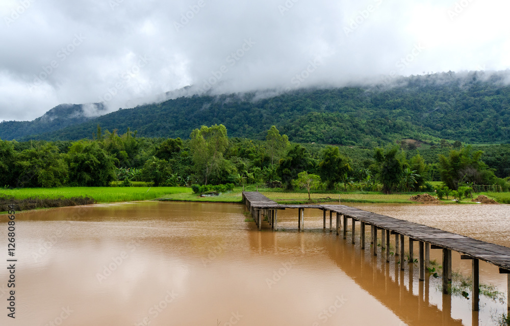 Wooden bridge walkway over rice field and water with mountain and raincloud background, On a rainy day.