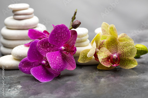 natural product for the spa system