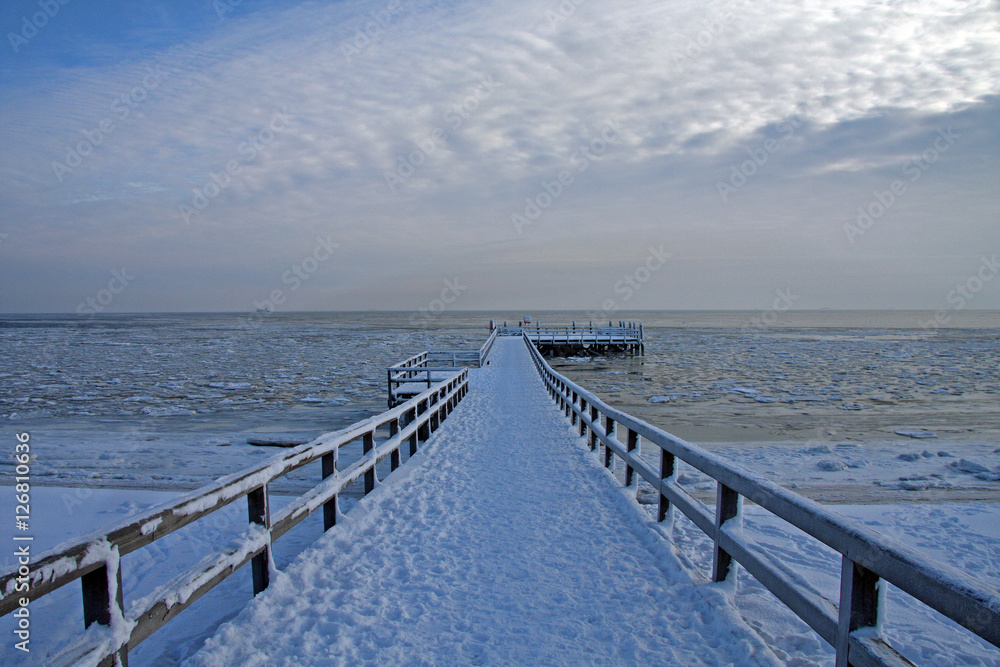 Obraz premium Bridge