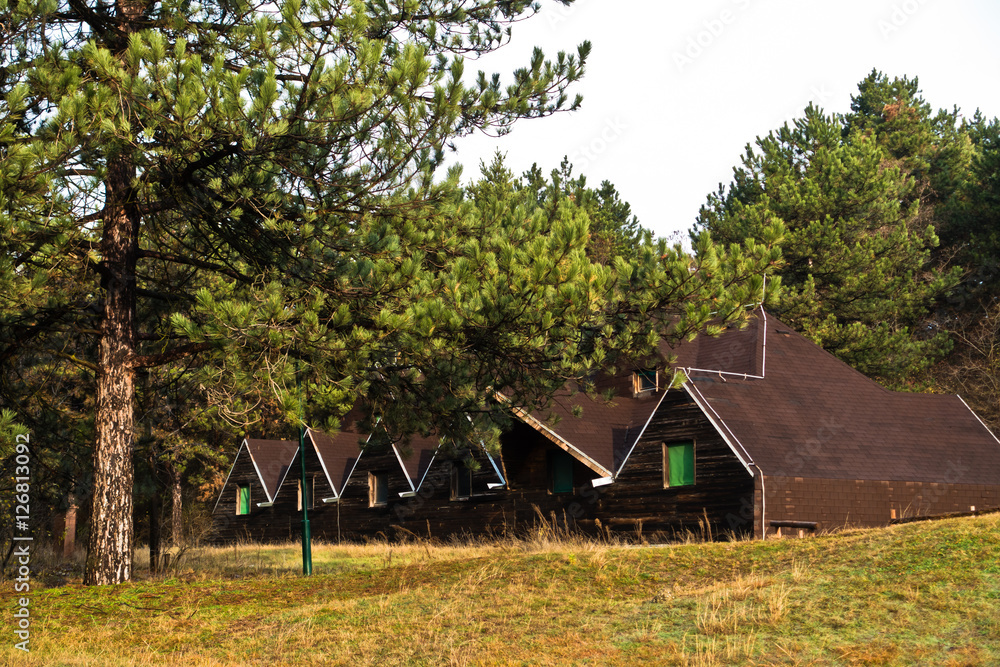 Wooden cabins in pine tree forest at Deliblatska pescara, Serbia