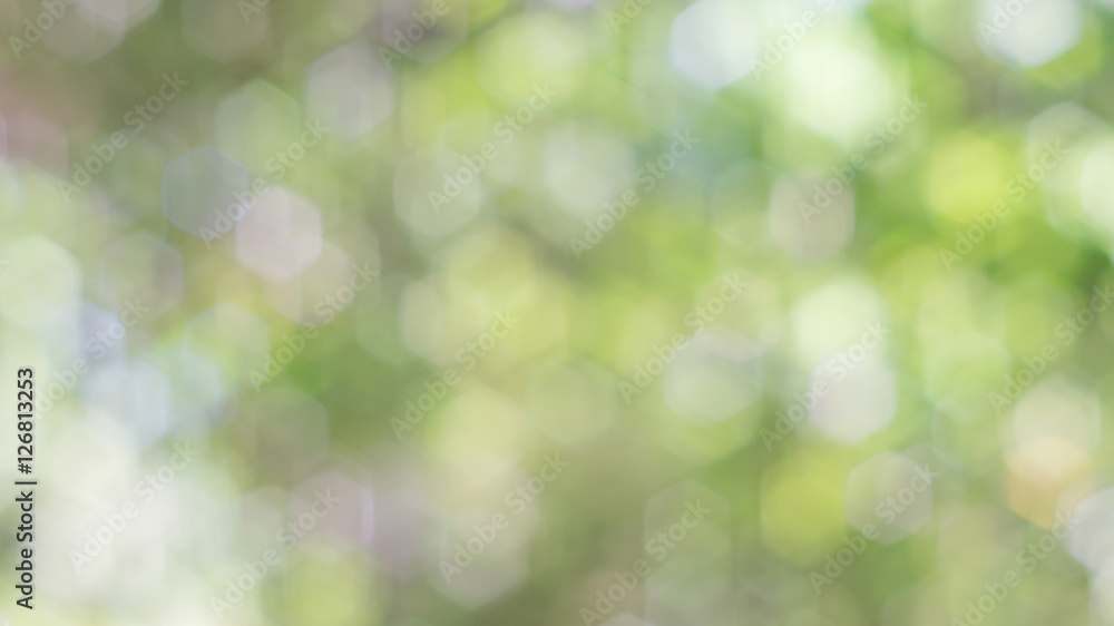 Fresh spring green bokeh for a background.