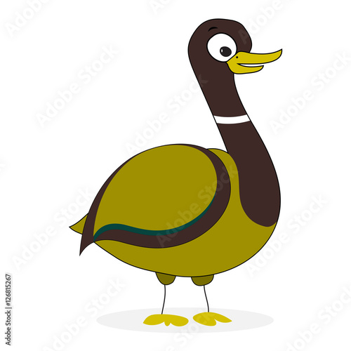 Wild duck cartoon