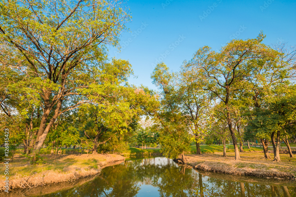 Natural pond in garden with blossoming trees in sunny day