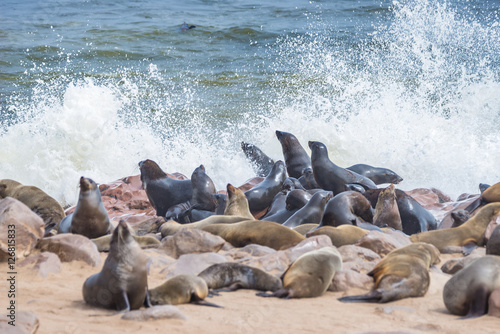 The seal colony at Cape Cross, on the atlantic coast of Namibia, Africa. View on the shoreline and the rough waving ocean.