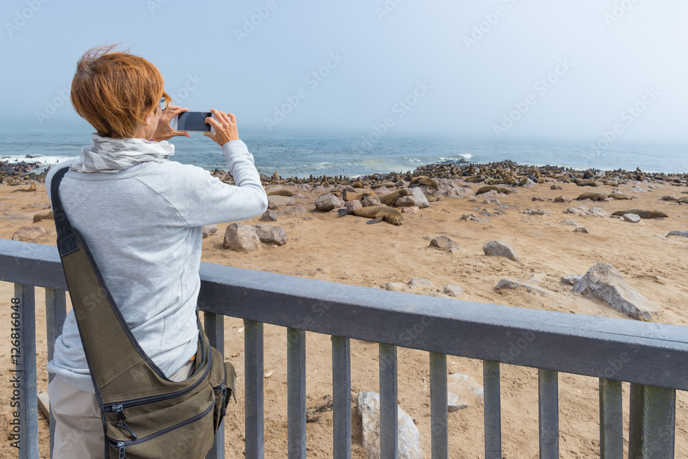 Tourist photographing the seal colony at Cape Cross, on the atlantic coastline of Namibia, Africa. Selective focus on display of generic smartphone.