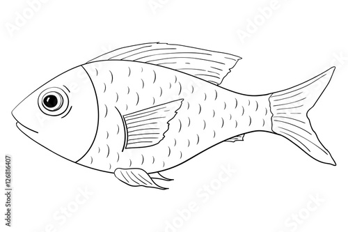 Photography Fish. Outline doodle