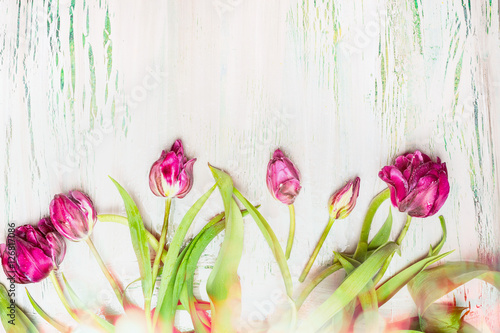 Fototapeta Naklejka Na Ścianę i Meble -  Lovely  tulips with bokeh on shabby chic  background, top view, floral border
