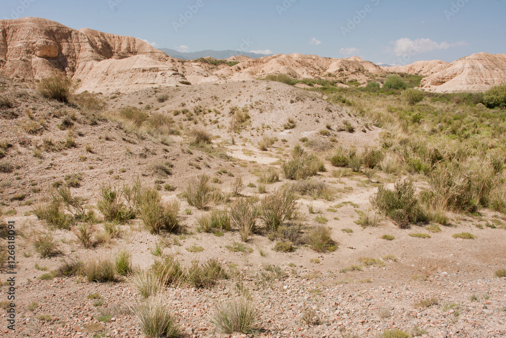 Dry land, small bushes of mountain plateau