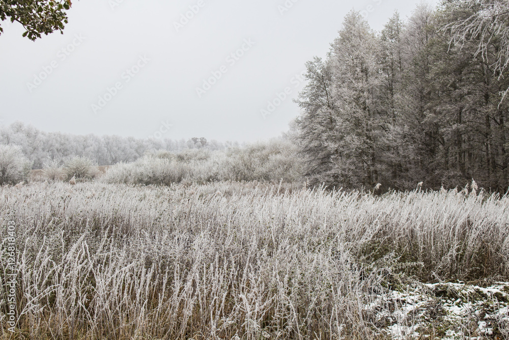 Beautiful autumn landscape with white frost on the trees Beautiful autumn landscape with white frost on the trees