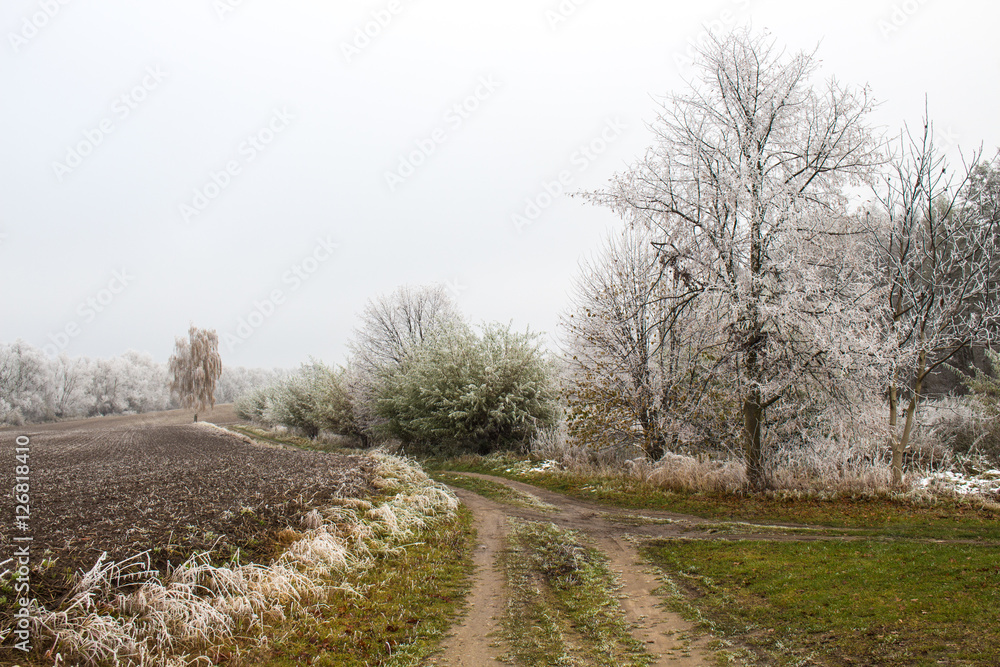 Beautiful autumn landscape with white frost on the trees