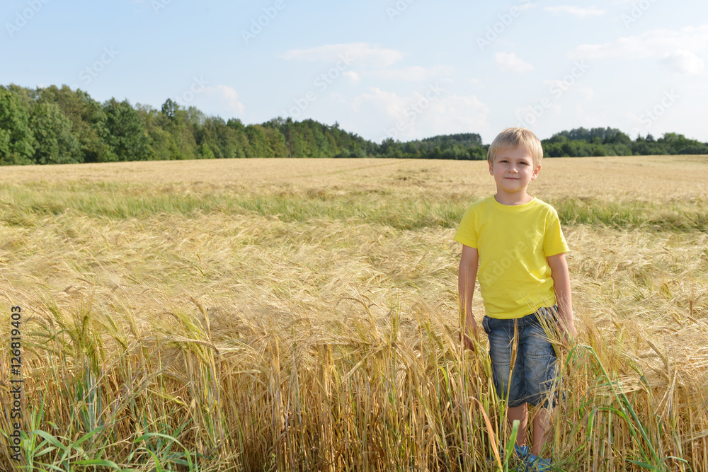 little boy in field