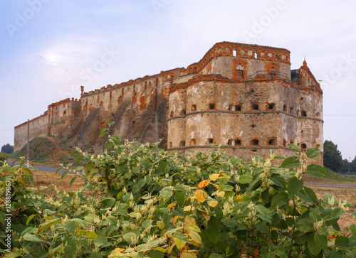 Medzhybizh Castle, Ukraine photo