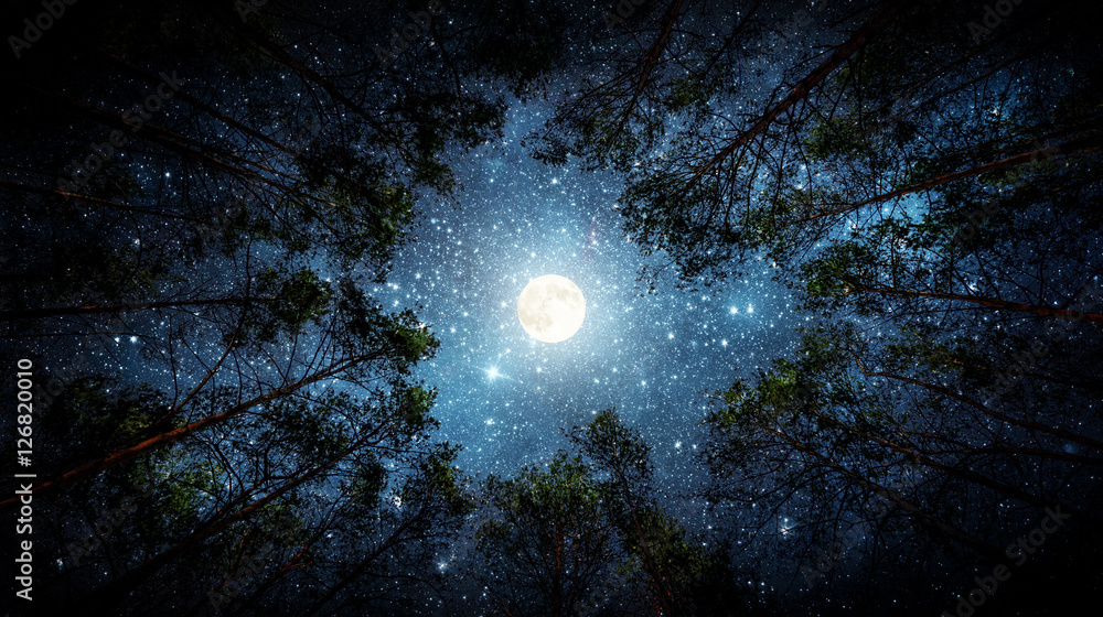 Obraz premium Beautiful night sky, the Milky Way, moon and the trees. Elements of this image furnished by NASA.