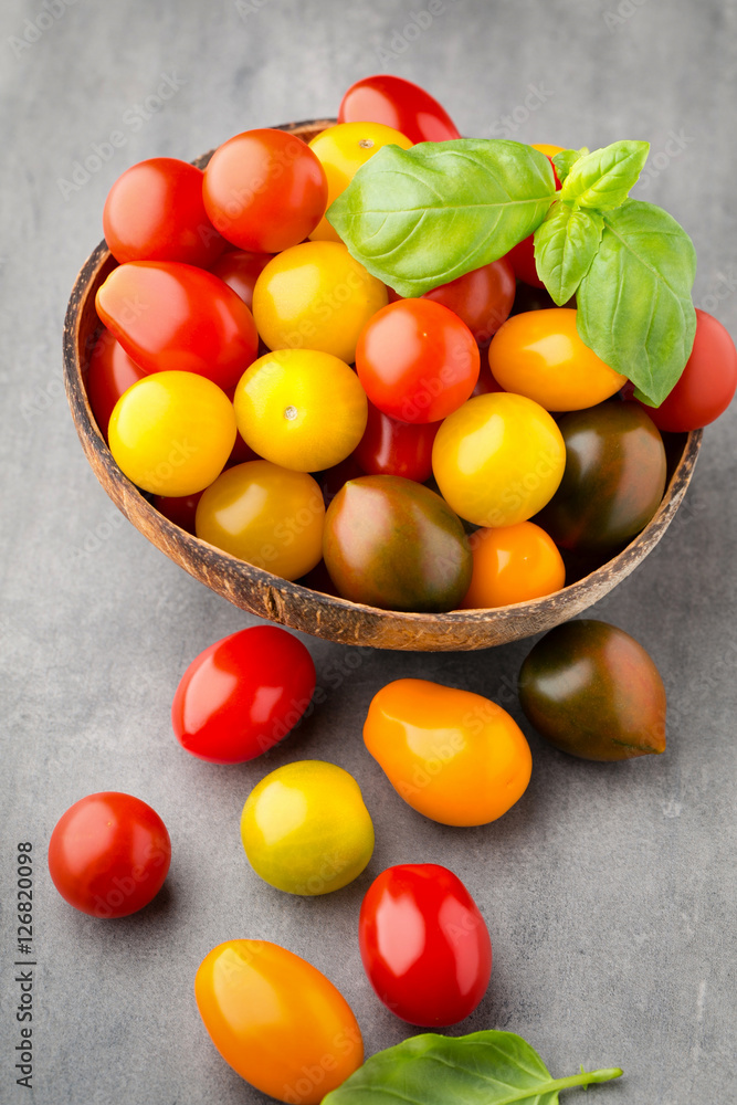 Tomatoes on the gray background. Colorful tomatoes, red tomatoes Tomatoes on the gray background. Colorful tomatoes, red tomatoes