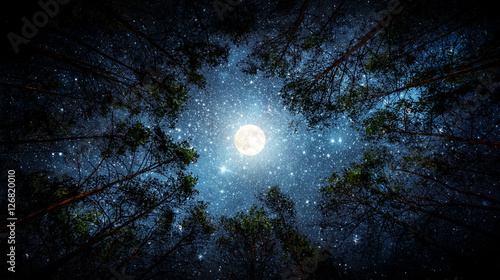 Beautiful night sky, the Milky Way, moon and the trees. Elements of this image furnished by NASA.