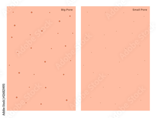 wide and small hair follicle , hair pore . skin vector