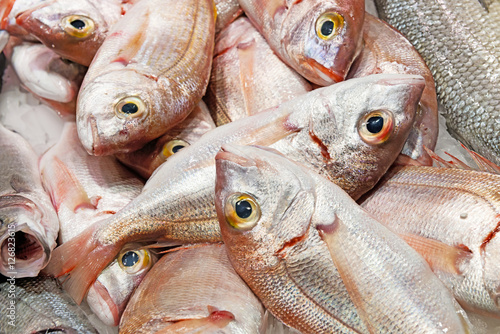 Small red sea bream fishes on a market tray