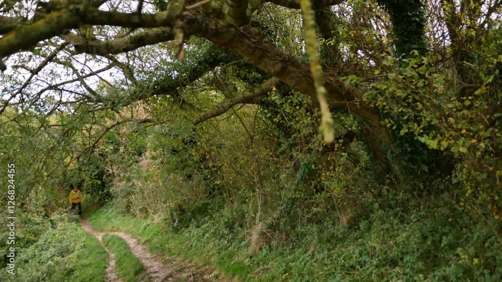 homme en randonnée dans les chemins homme en randonnée dans les chemins