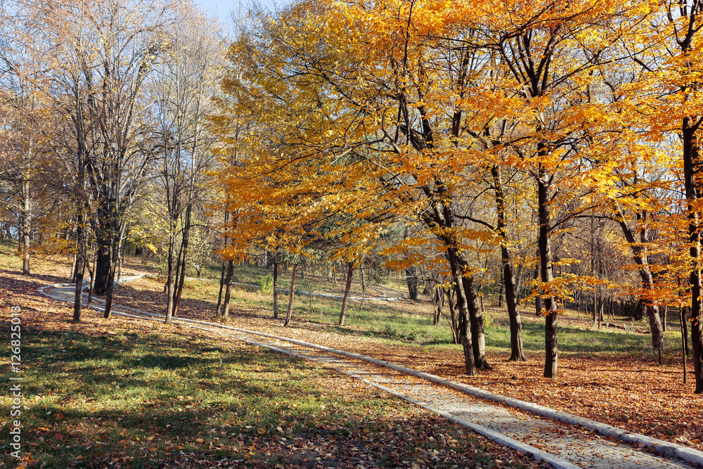 Autumn Landscape in the park from Craiova, Romania