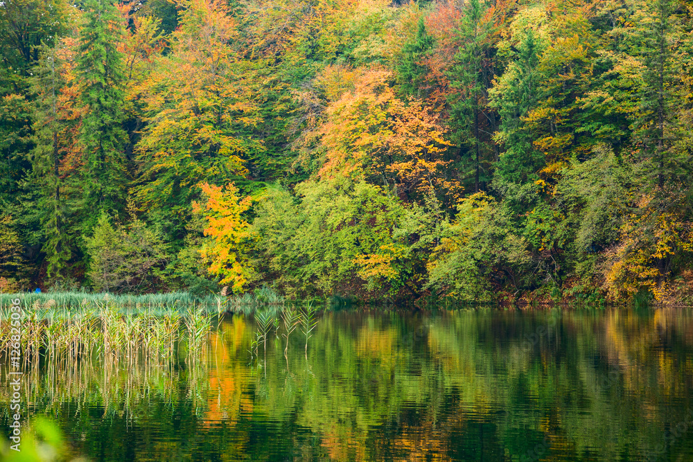 Autum forest lake Kozjak in Plitvice National Park Autum forest lake Kozjak in Plitvice National Park
