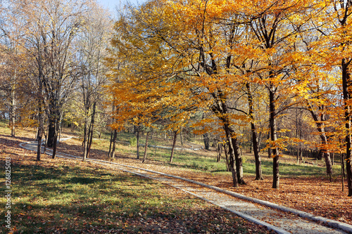 Autumn Landscape in the park from Craiova, Romania © alexionutcoman