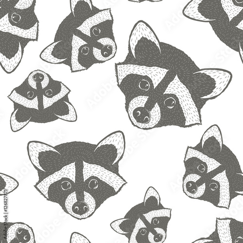 Raccoon vector illustration