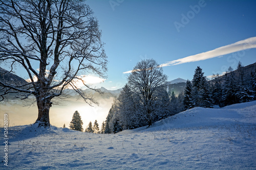 Canvas Print Traumhafte Winterlandschaft mit verschneiten Bäumen in den österreichischen Alpe