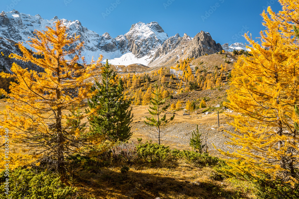 Massif du Queyras en France