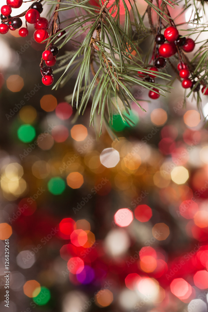 pine branches and red berries on the bokeh