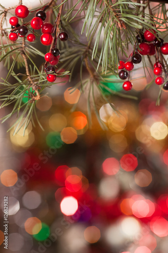 pine branches and red berries on the bokeh