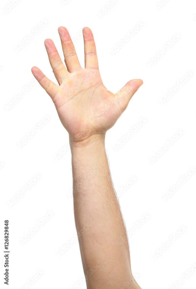 Hands with gestures isolated on a white background Hands with gestures isolated on a white background
