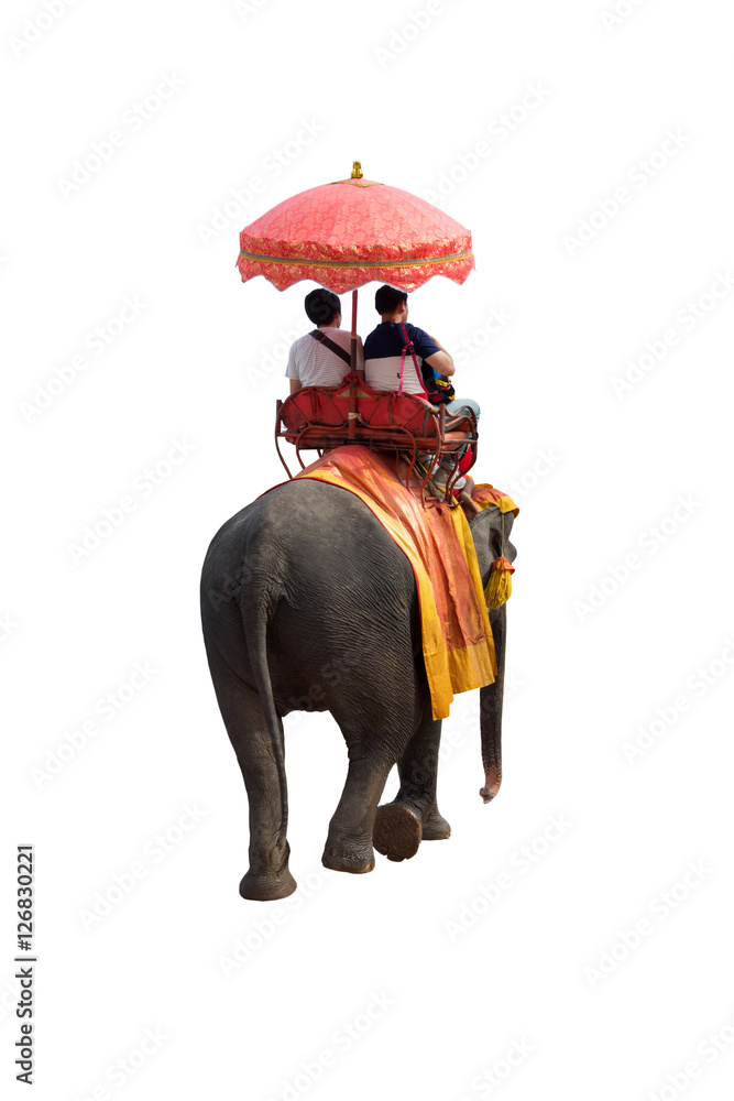 Naklejka premium Tourists on an ride elephant tour of the ancient city isolated on white background with clipping path..