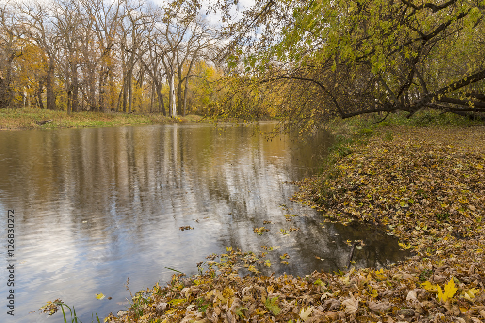 Fototapeta premium Autumn River Scenic Landscape