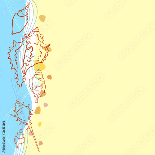 shell background