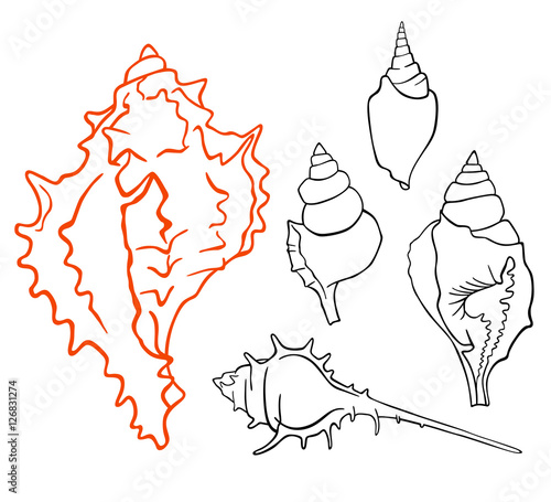 shell set