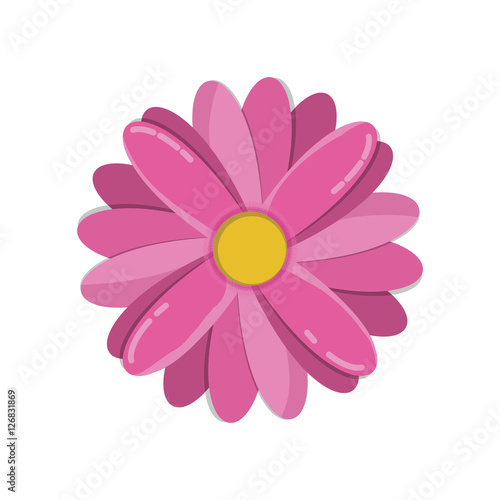 flower floral beauty icon vector illustration graphic design