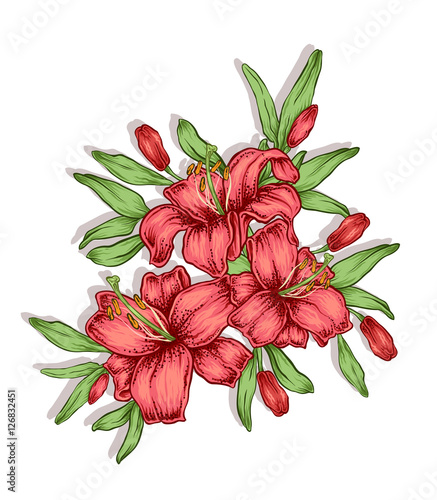 Hand drawn lily flowers. Decorative royal lilies composition.  photo