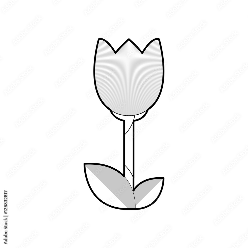 flower floral beauty icon vector illustration graphic design flower floral beauty icon vector illustration graphic design