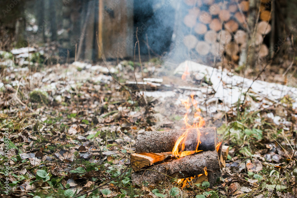 Bonfire, fire. Rest in the woods on a halt. Hunting Lodge. Autumn, cold and cloudy weather, snow. Bonfire, fire. Rest in the woods on a halt. Hunting Lodge. Autumn, cold and cloudy weather, snow.