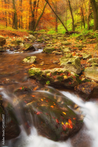 Small waterfall in Bakony forest in Hungary photo