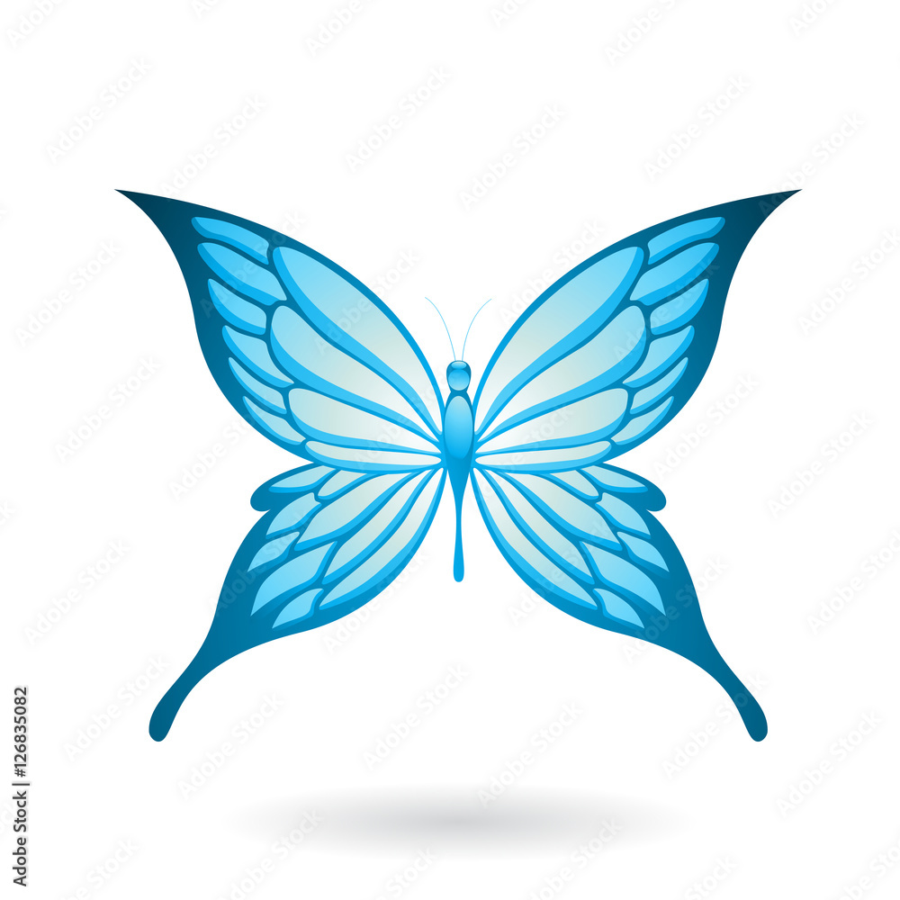 Colorful Butterfly Illustration Colorful Butterfly Illustration