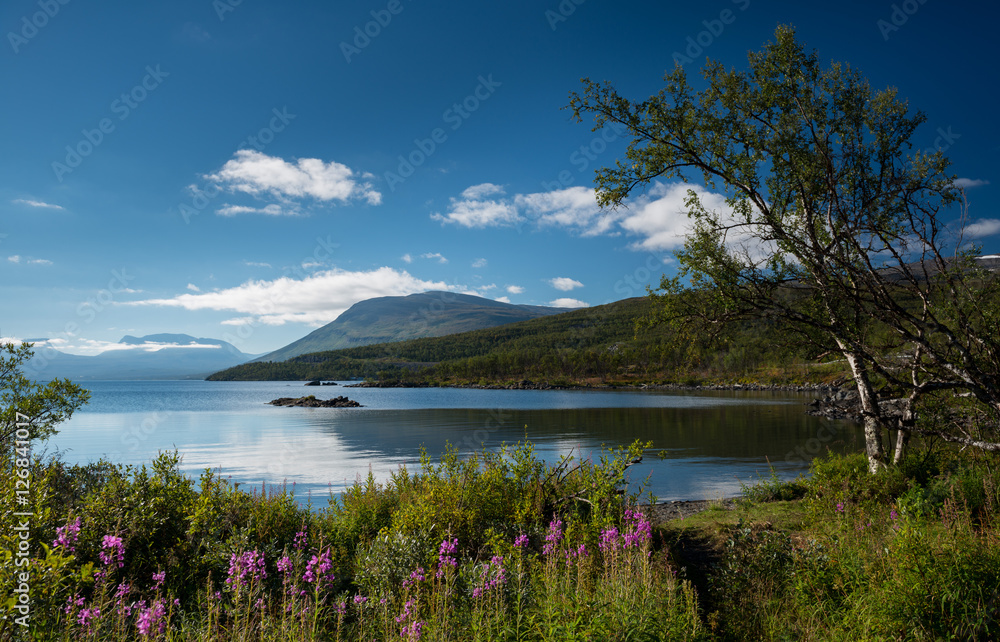 Naklejka premium Lake Torneträsk in the Abisko National Park, Sweden