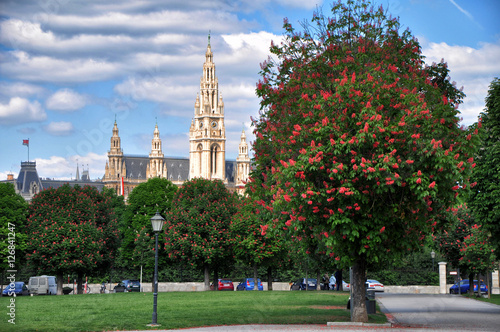 Beautiful view of the Viennese park in the background is the City-hall