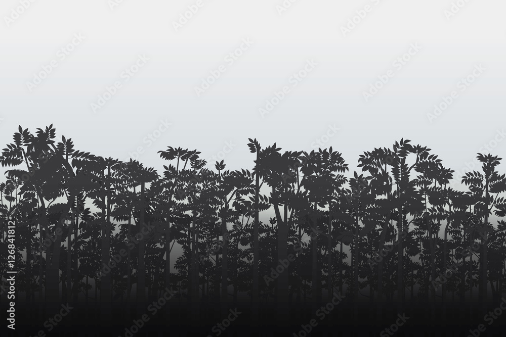 Forest trees background. Vector nature background Forest trees background. Vector nature background